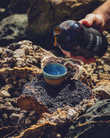 Wild Harvested Chaga Mushroom Rootbeer Elixir by Black Magic Alchemy