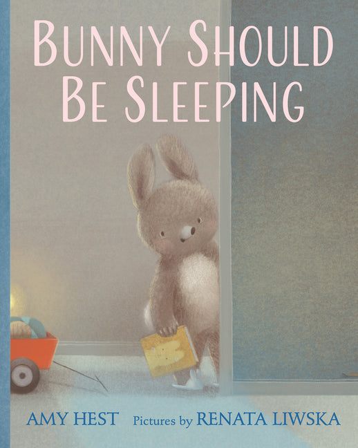 Bunny Should Be Sleeping - Hardcover by Books by splitShops