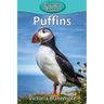 Puffins