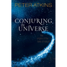 Conjuring the Universe: The Origins of the Laws of Nature