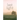 Last Light