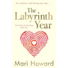 The Labyrinth Year