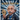 The Story of Albert Einstein: Who Was the Genius in a Lab Coat?