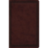 ESV Large Print Value Thinline Bible (Trutone, Mahogany, Border Design)
