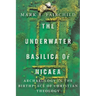 The Underwater Basilica of Nicaea: Archaeology in the Birthplace of Christian Theology