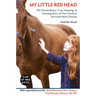 My Little Red Head: The Extraordinary, True, Amazing and Amusing Story of How Avelynn Survived Heart Disease.