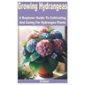 Growing Hydrangeas: A Beginner Guide to Cultivating and Caring for Hydrangea Plants