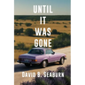 Until It Was Gone: A Contemporary Family Novel of Resilience and Hope