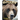 Grizzly: (Age 5 - 8)