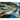 Austin Images Alive