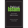 Political Islam: Essays from Middle East Report