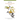 Field Guide to the Birds of the Dominican Republic and Haiti