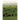 Visions of the Tallgrass: Prairie Photographs by Harvey Payne Volume 33
