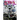 The Fifth Di... April 2023