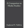 A Companion to Media Studies