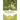 Remmie, a Southern Heiress