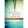 Between Rising Powers: China, Singapore and India