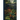 Grasses of North America; Volume 1