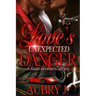 Love's Unexpected Danger: A Rush Brothers Series