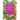 Florida Landscape Plants, Third Edition: Native and Exotic