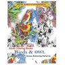 Coloring Book for Adult: Owls & Birds: Relaxation Designs to Color!