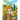 ABC Come Garden with Me