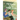 President of the Anime Club: A Graphic Novel