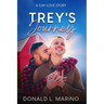Trey's Journey: A gay love story