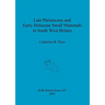 Late Pleistocene and Early Holocene Small Mammals in South West Britain: Environmental and taphonomic implications and their role in archaeological re