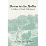 Down in the Hollar: A Gallery of Ozark Folk Speech