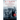 A Train near Magdeburg-LARGE PRINT EDITION: A Teacher's Journey into the Holocaust, and the reuniting of the survivors and liberators, 70 years on