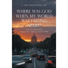 Where Was God When My World Was Falling Apart?: A Journey of Discovery: Tragedy, Pain, Suffering, and God's Will