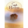 Safe Haven: A Historical Novel