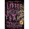 Little Hidden Fears, Large Print Edition