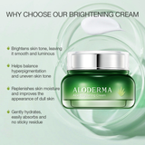 Aloe Brightening Skin Cream by ALODERMA