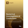 Numerical Investigations of Combustion