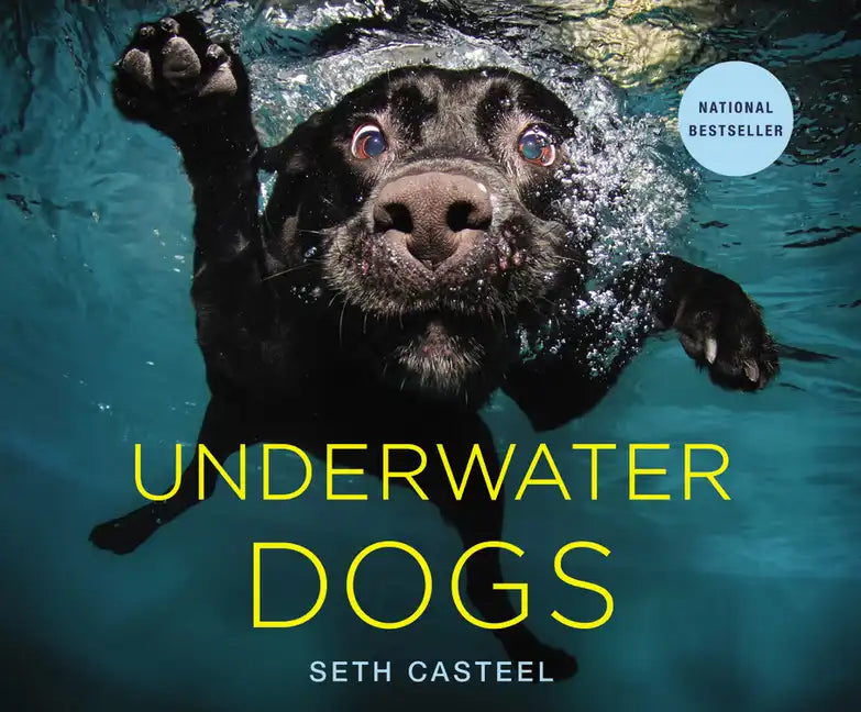 Underwater Dogs - Hardcover by Books by splitShops