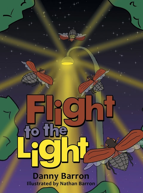 Flight to the Light - Hardcover by Books by splitShops