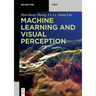 Machine Learning and Visual Perception