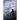 Darkness Calls Softly