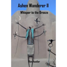 Ashen Wanderer II: Whisper to the Breeze