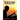 The Battle Rages: A Soldier's Memoirs of War
