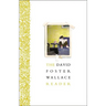 The David Foster Wallace Reader
