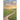 Amia's Path