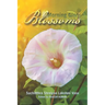 Morning Glory Blossoms