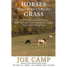 Horses Were Born to be on Grass: How We Discovered the Simple But Undeniable Truth About Grass, Sugar, Equine Diet, & Lifestyle