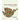 Social Justice Counseling: The Next Steps Beyond Multiculturalism
