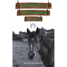 The Horses of Saddlers Ranch: Black Knight