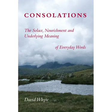 Consolations: The Solace, Nourishment and Underlying Meaning of Everyday Words