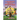 The Funtastic Police Cases of Officer Holt: Banana Rascal and the Kids Patrol
